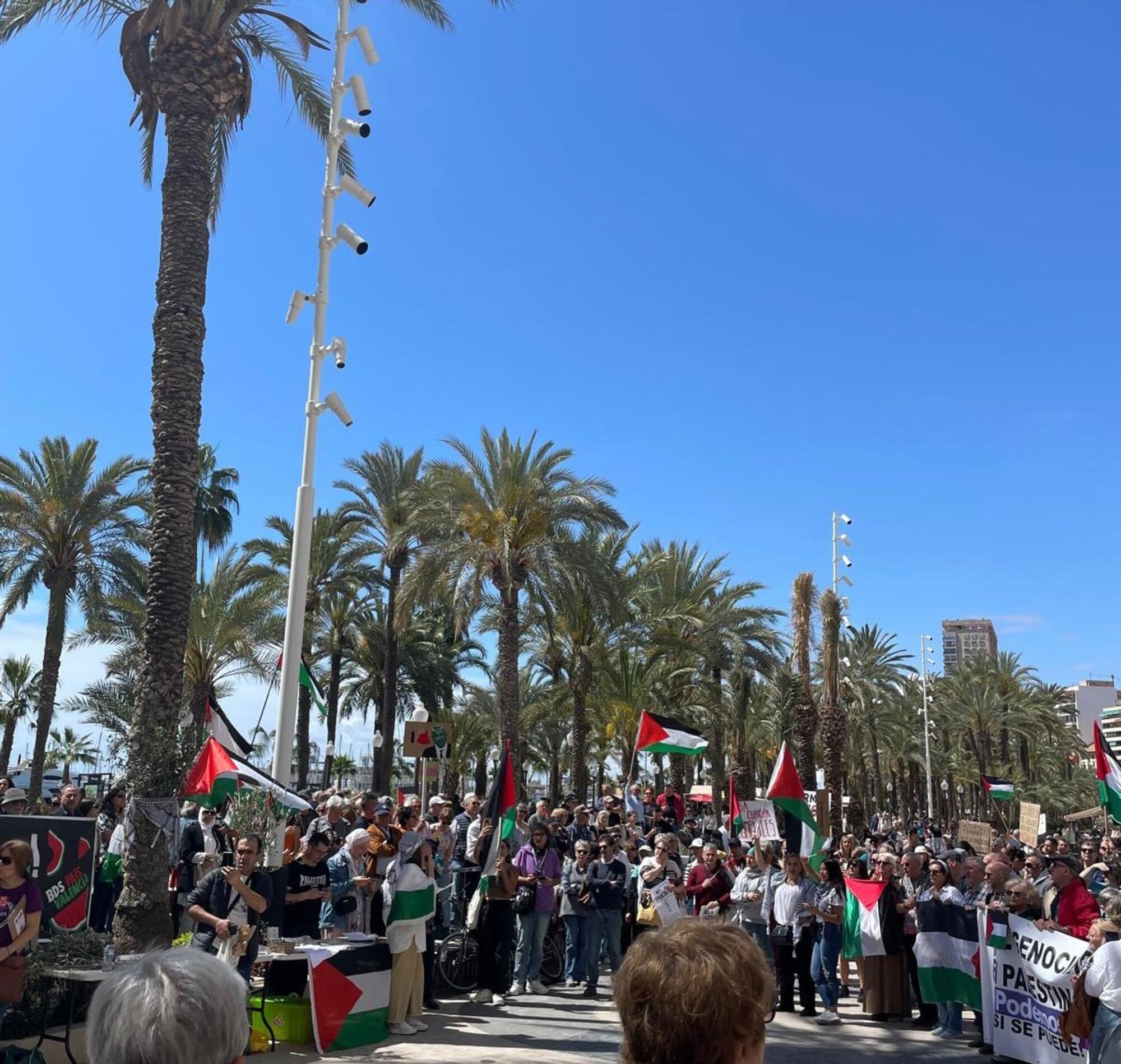 Alacant Mani Palestina
